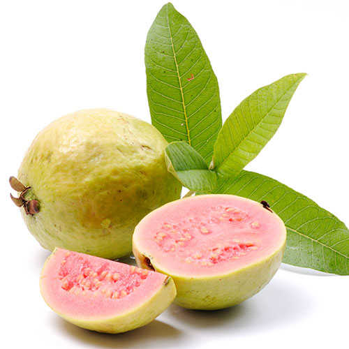 Guava