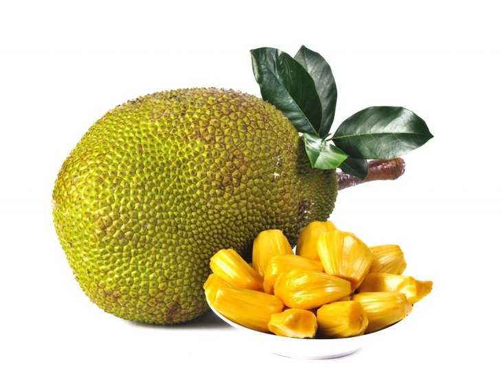 Jackfruit Meyvesi