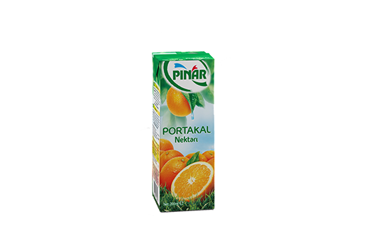 Pınar Meyve Nektarı Portakal