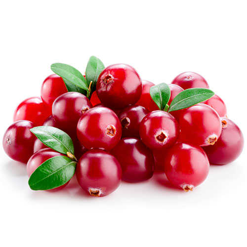 Turna Yemişi (Cranberry)