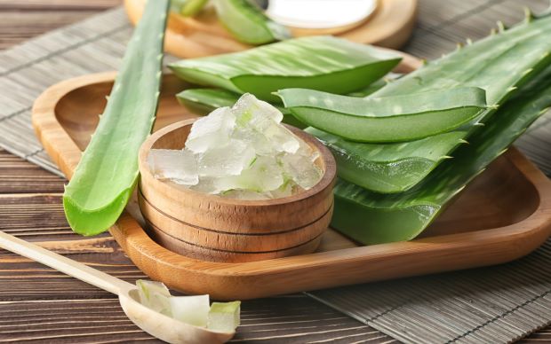 Aloe Vera Nedir? Saç, Cilt ve Kilo Kaybı İçin 6 Faydası