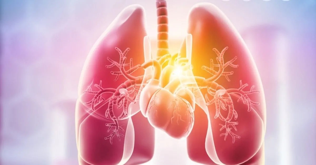 Gerçek bir akciğer detoksu: Bu tarifler bronşları temizliyor ve rahat nefes almaya yardımcı oluyor!