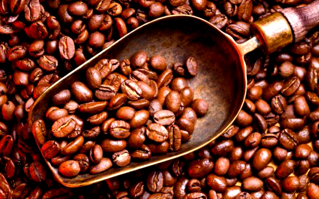 Günün Bilgisi: Kahve Çekirdekleri