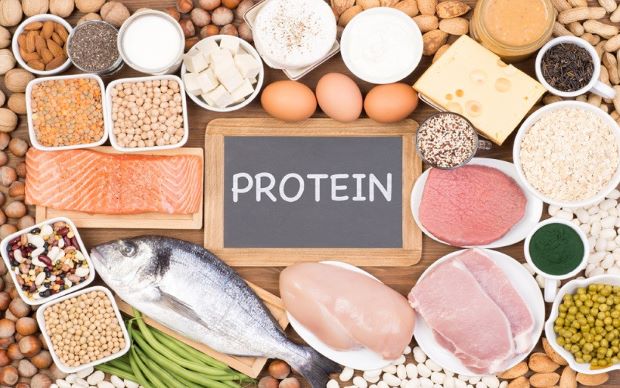 Protein Sadece Kas Gelişimine Yardımcı Olur: Efsane mi Gerçek mi?