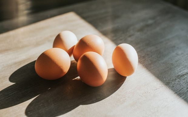 Yumurtanın Faydaları Nelerdir? Kalorisi, Karbonhidrat, Protein ve Yağ Hakkında Bilmeniz Gereken Her 