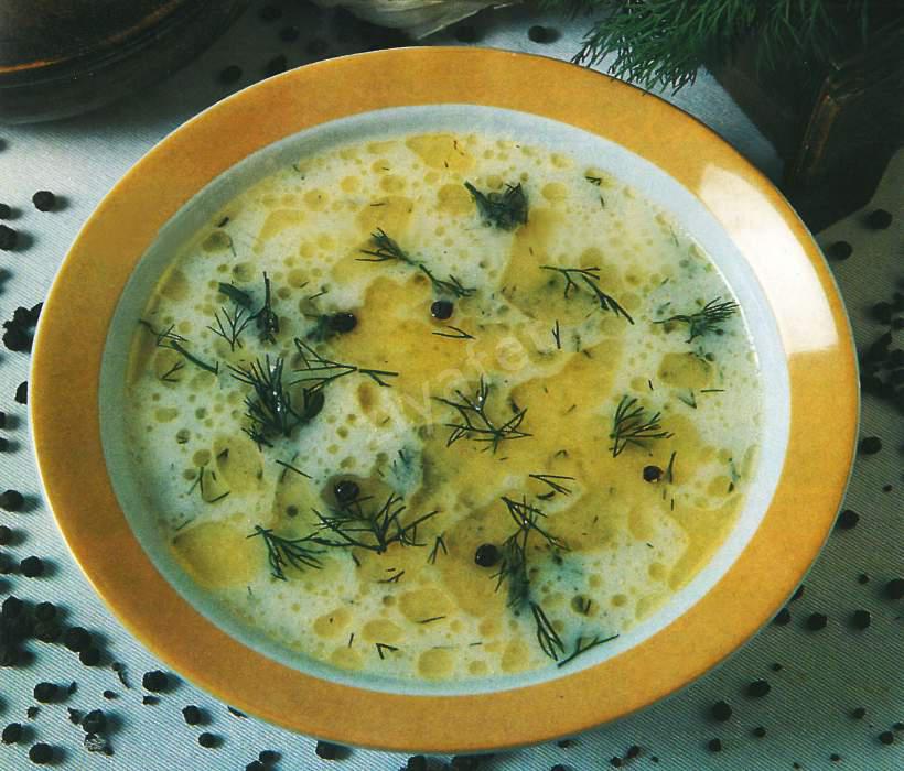 Dereotu Kremalı Çorba