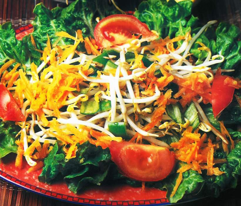 Soyalı Mevsim Salatası 