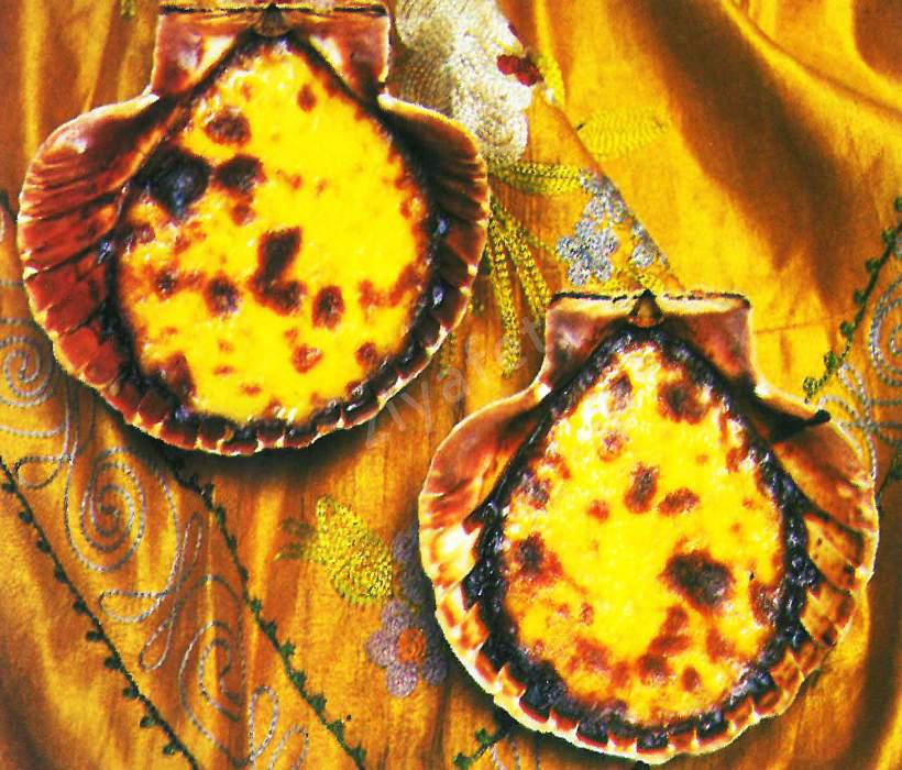 Sürpriz Deniz Kabukları