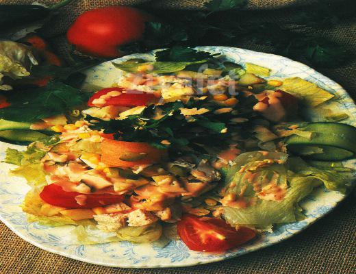 Elmalı Tavuk Salatası