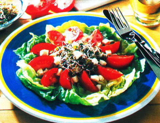 Mozarellalı Kıvırcık Salata 