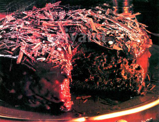 Özel Çikolata Soslu Pasta