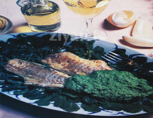 Roka Kremalı Balık