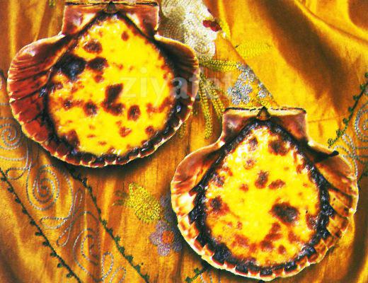 Sürpriz Deniz Kabukları